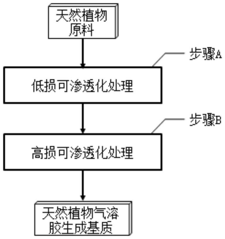 一种用于电子加热烟具的天然植物气溶胶生成基质的制造方法及其产品和应用与流程