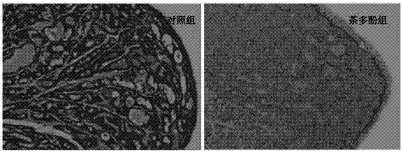 一种产蛋后期蛋鸡饲料及其应用的制造方法与工艺